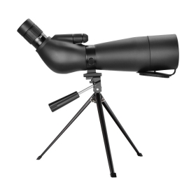 BM-SC31 (ED)