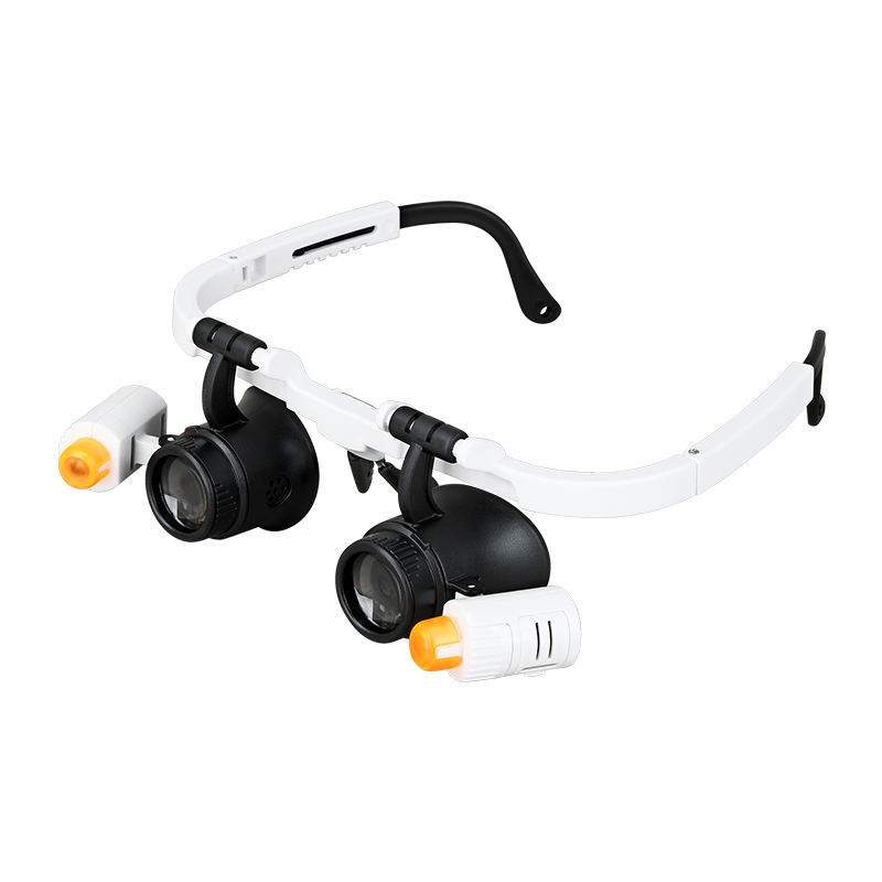Eyeglass Magnifier